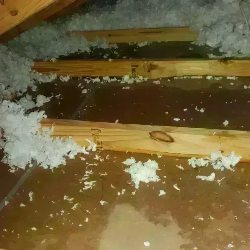 Attic Water Damage in Prairie du Sac, WI